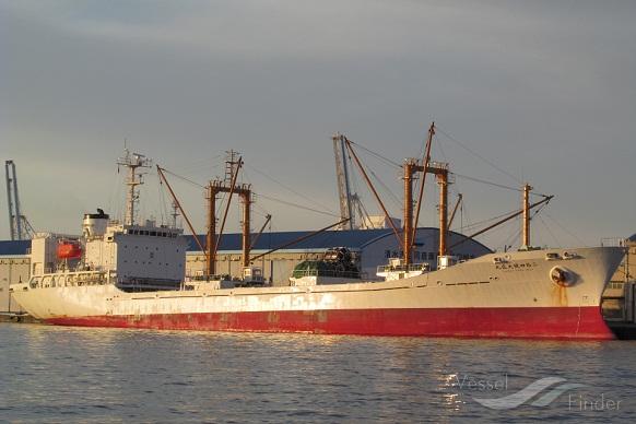 taisei maru no.24 (Refrigerated Cargo Ship) - IMO 9086758, MMSI 431678000, Call Sign JILE under the flag of Japan
