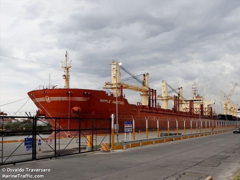 maple ambition (Bulk Carrier) - IMO 9760354, MMSI 477181800, Call Sign VROT3 under the flag of Hong Kong