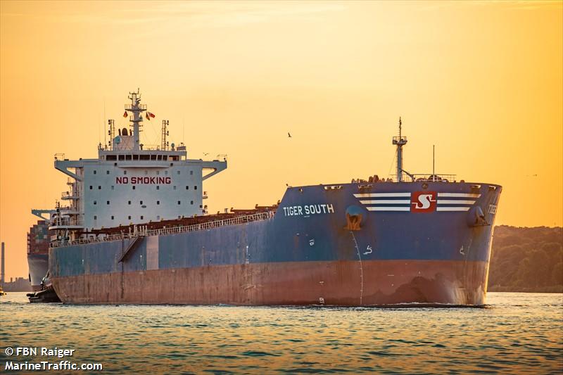 tiger south (Bulk Carrier) - IMO 9619854, MMSI 477832600, Call Sign VRKE3 under the flag of Hong Kong