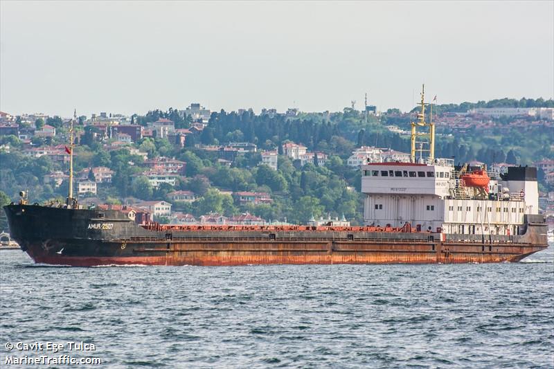 amur 2507 (General Cargo Ship) - IMO 8721337, MMSI 511273000, Call Sign T8A2232 under the flag of Palau
