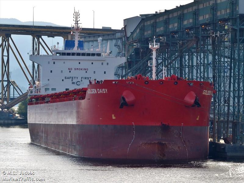 golden daisy (Bulk Carrier) - IMO 9590759, MMSI 538004669, Call Sign V7YI8 under the flag of Marshall Islands