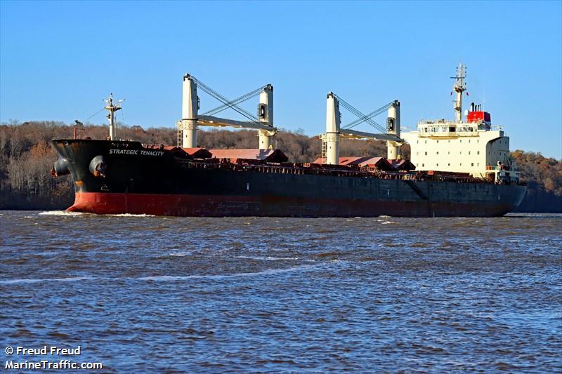 strategic tenacity (Bulk Carrier) - IMO 9626302, MMSI 563005600, Call Sign 9V5309 under the flag of Singapore