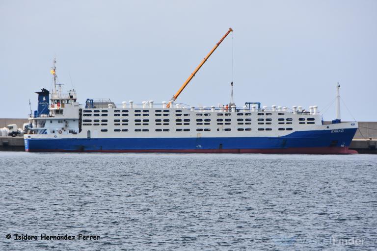 karazi (Livestock Carrier) - IMO 8215807, MMSI 667005239, Call Sign 9LD2539 under the flag of Sierra Leone