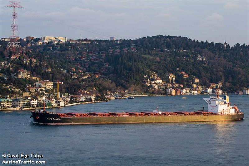 cape kallia (Bulk Carrier) - IMO 9447160, MMSI 209738000, Call Sign 5BNS3 under the flag of Cyprus