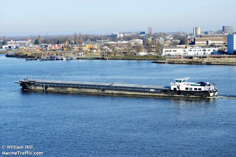 henri. (Cargo ship) - IMO , MMSI 243042659, Call Sign HGD2659 under the flag of Hungary