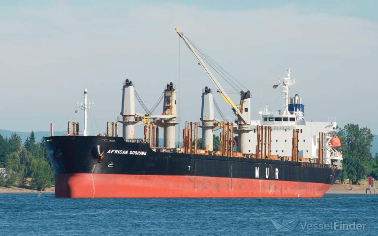 african goshawk (Bulk Carrier) - IMO 9728485, MMSI 311000361, Call Sign C6BT7 under the flag of Bahamas