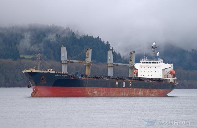 african halcyon (General Cargo Ship) - IMO 9343613, MMSI 311032200, Call Sign C6YG7 under the flag of Bahamas