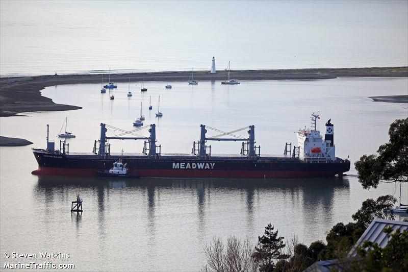 ariston bulker (General Cargo Ship) - IMO 9875109, MMSI 354345000, Call Sign 3ELW3 under the flag of Panama