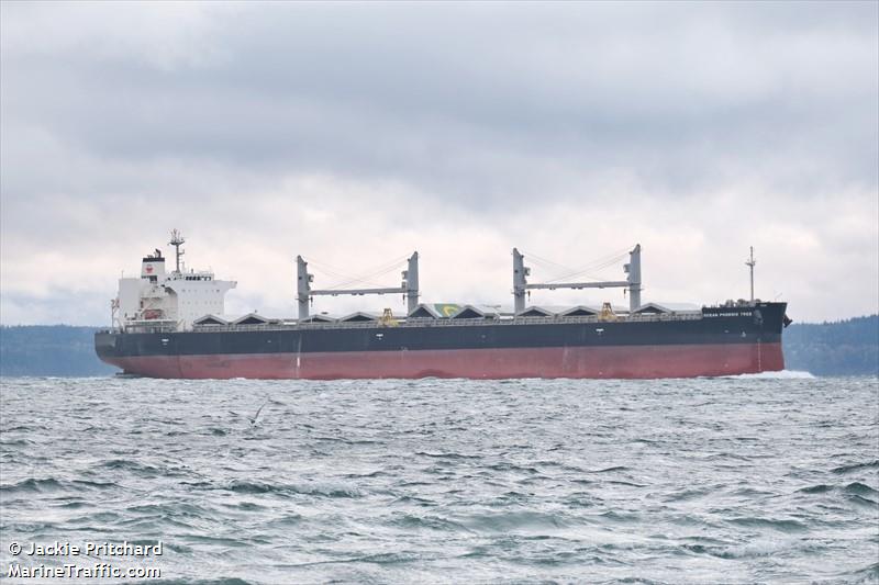 ocean phoenix tree (Bulk Carrier) - IMO 9799800, MMSI 354544000, Call Sign HO5726 under the flag of Panama