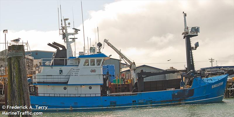 shellfish (Fishing vessel) - IMO , MMSI 366950140, Call Sign WDI4328 under the flag of United States (USA)