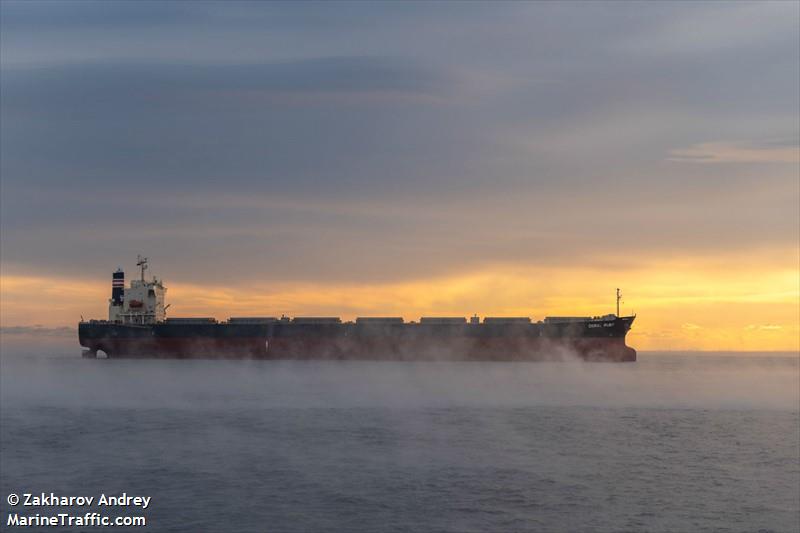 coral ruby (Bulk Carrier) - IMO 9464405, MMSI 370150000, Call Sign 3ERR6 under the flag of Panama