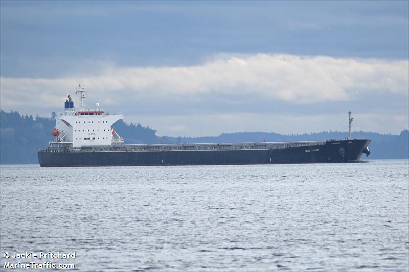 blue ionian (Bulk Carrier) - IMO 9381184, MMSI 373198000, Call Sign H3GK under the flag of Panama