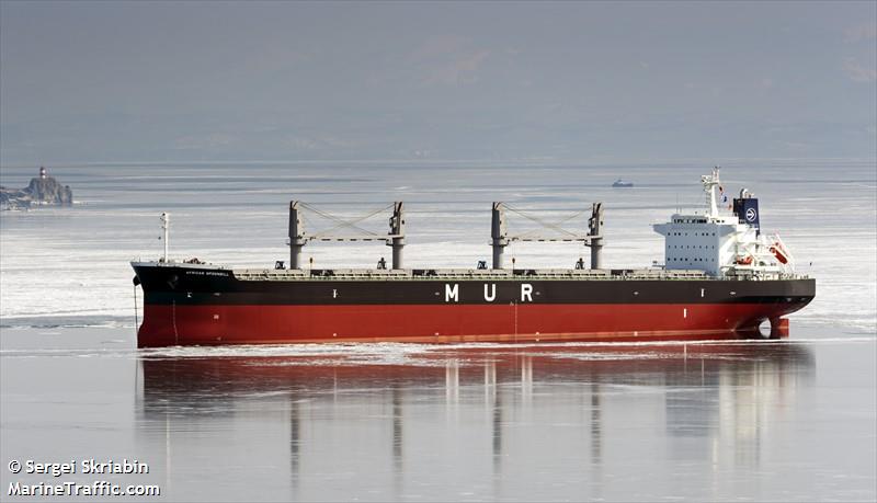 african spoonbill (Bulk Carrier) - IMO 9701712, MMSI 374514000, Call Sign H8MY under the flag of Panama