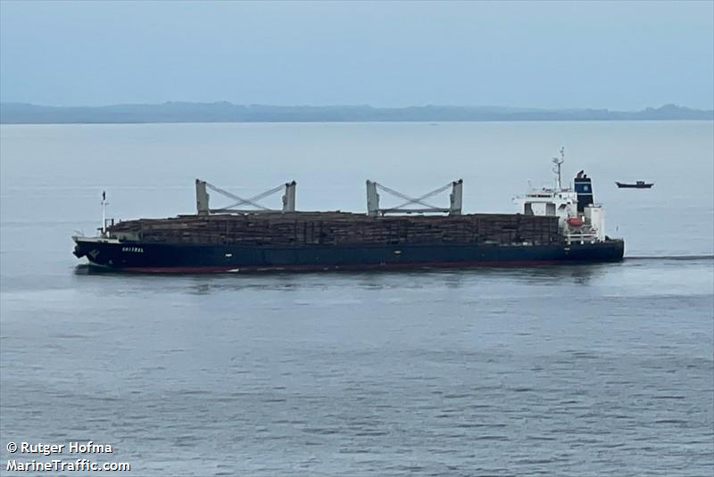 chitral (Bulk Carrier) - IMO 9272876, MMSI 463037101, Call Sign AQQE under the flag of Pakistan