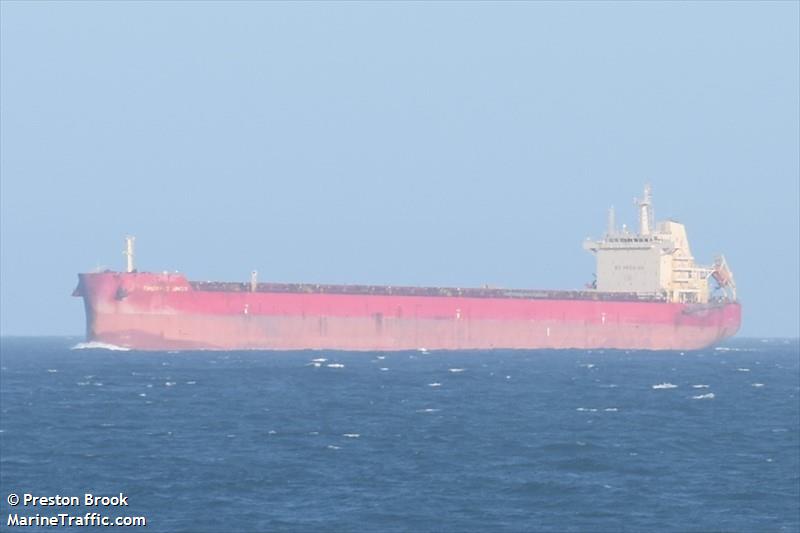 emerald dongji (Bulk Carrier) - IMO 9726528, MMSI 477454800, Call Sign VRON8 under the flag of Hong Kong