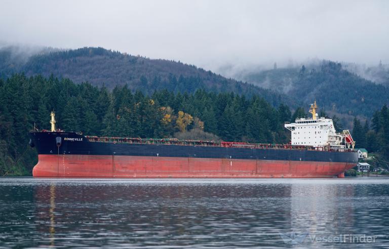 bonneville (Bulk Carrier) - IMO 9497323, MMSI 538007736, Call Sign V7QT6 under the flag of Marshall Islands