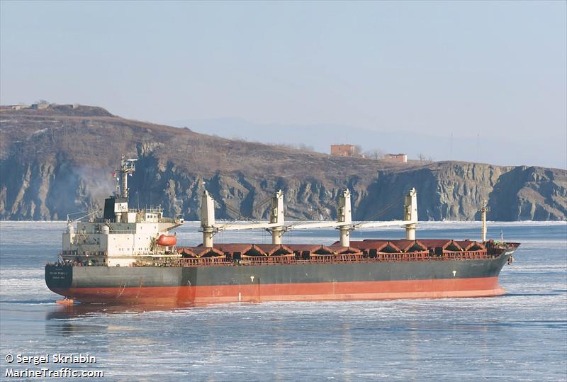 ocean phoenix (Bulk Carrier) - IMO 9175638, MMSI 564310000, Call Sign 9V8134 under the flag of Singapore