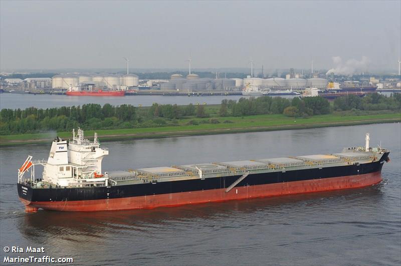 tw hamburg (Bulk Carrier) - IMO 9603520, MMSI 636015512, Call Sign D5BF5 under the flag of Liberia