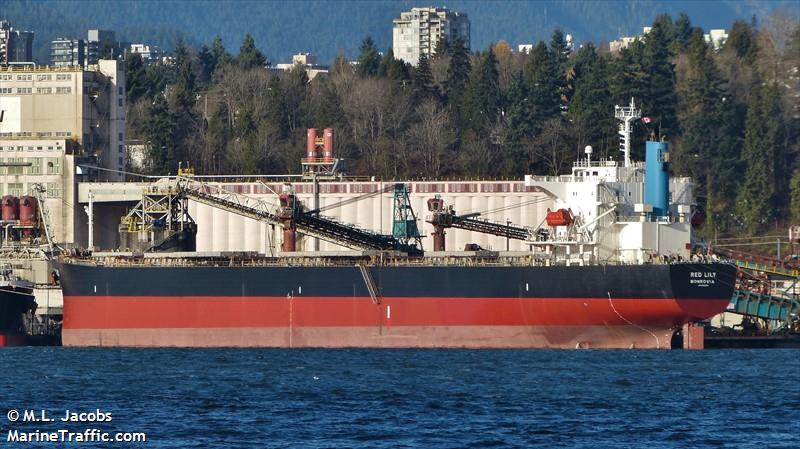 bravery (Bulk Carrier) - IMO 9302750, MMSI 636016706, Call Sign D5HJ5 under the flag of Liberia