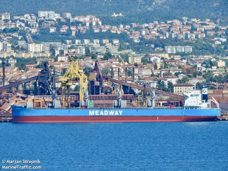 dionisis (Bulk Carrier) - IMO 9852652, MMSI 636018908, Call Sign D5RZ2 under the flag of Liberia