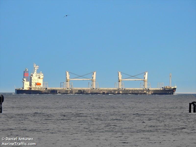 perseus harmony (Bulk Carrier) - IMO 9791042, MMSI 636019976, Call Sign D5XB5 under the flag of Liberia