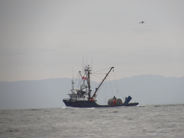 viking fisher (Fishing vessel) - IMO , MMSI 316003351, Call Sign CFK5445 under the flag of Canada