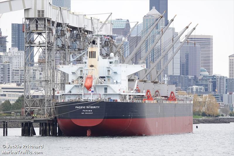 pacific integrity (Bulk Carrier) - IMO 9622837, MMSI 352633000, Call Sign 3FIC9 under the flag of Panama
