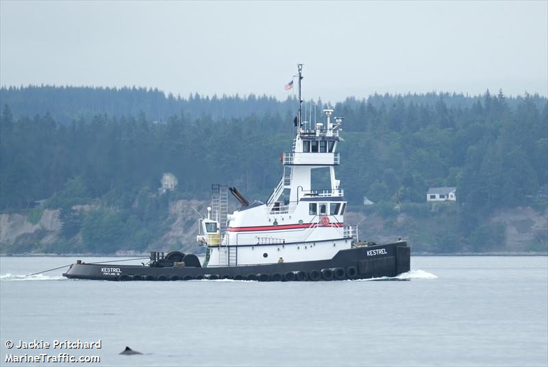 kestrel (Towing vessel) - IMO , MMSI 367548420, Call Sign WDG5612 under the flag of United States (USA)