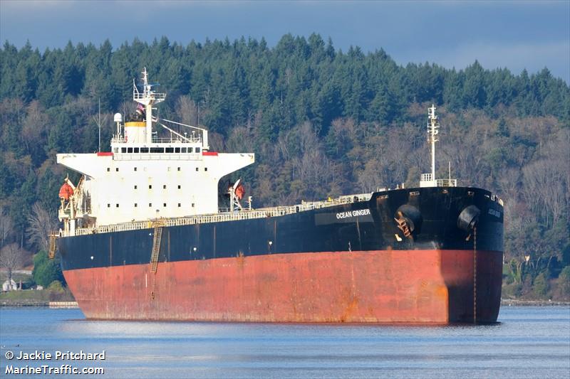 ocean ginger (Bulk Carrier) - IMO 9254719, MMSI 477353600, Call Sign VRIV9 under the flag of Hong Kong