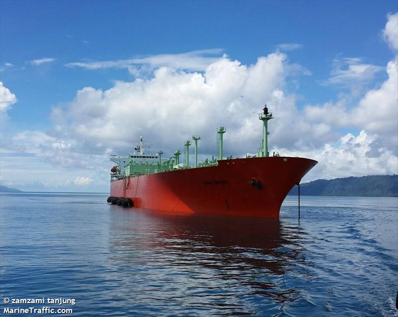 kmp.caitlyn (Passenger/Ro-Ro Cargo Ship) - IMO 8602048, MMSI 525015932, Call Sign POHH under the flag of Indonesia
