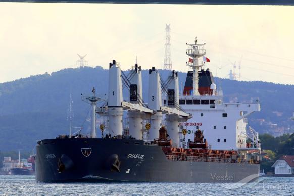 charlie (Bulk Carrier) - IMO 9595383, MMSI 538004306, Call Sign V7WH2 under the flag of Marshall Islands