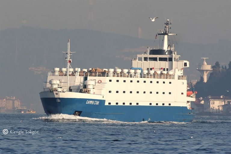 gamma star (Livestock Carrier) - IMO 7703259, MMSI 667001639, Call Sign 9LU2442 under the flag of Sierra Leone