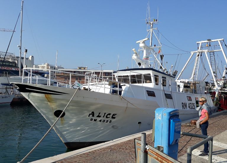 alice (Fishing vessel) - IMO , MMSI 247070530, Call Sign IPTA under the flag of Italy