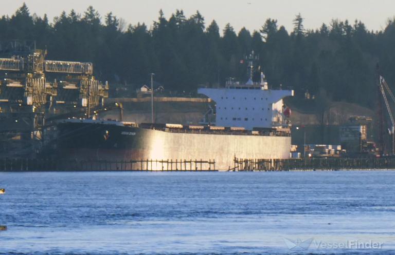 ocean zenon (Bulk Carrier) - IMO 9427029, MMSI 248563000, Call Sign 9HA4706 under the flag of Malta