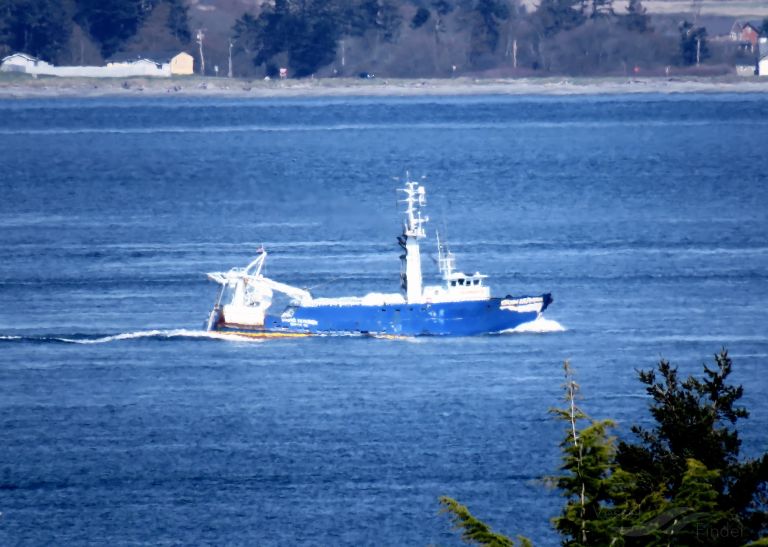 viking explorer (Fishing Vessel) - IMO 7934248, MMSI 303648000, Call Sign WRC8693 under the flag of Alaska