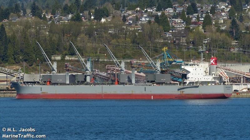 devon bay (Bulk Carrier) - IMO 9622849, MMSI 351257000, Call Sign 3FBE5 under the flag of Panama