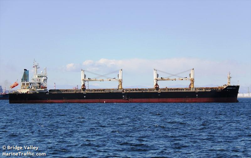 aquarius honor (Bulk Carrier) - IMO 9626572, MMSI 354531000, Call Sign 3FNC3 under the flag of Panama