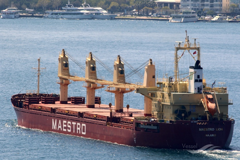 h sealion (General Cargo Ship) - IMO 9189665, MMSI 354671000, Call Sign 3FWA4 under the flag of Panama