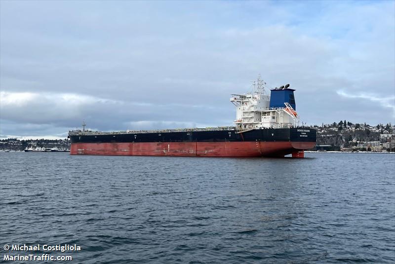 duchess rosario (Bulk Carrier) - IMO 9870458, MMSI 356755000, Call Sign 3ECG4 under the flag of Panama