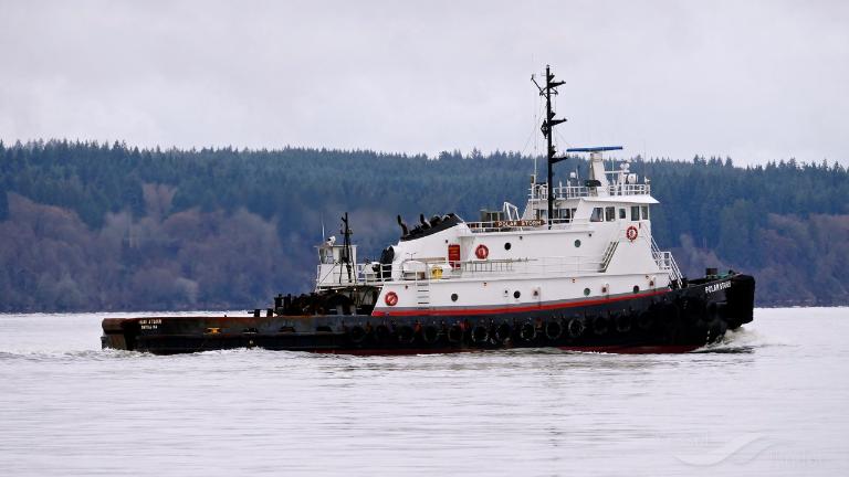 polar storm (Tug) - IMO 8101771, MMSI 368403000, Call Sign WDE8347 under the flag of United States (USA)