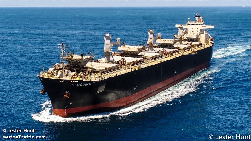 genciana (Wood Chips Carrier) - IMO 9502568, MMSI 370496000, Call Sign 3ETB2 under the flag of Panama