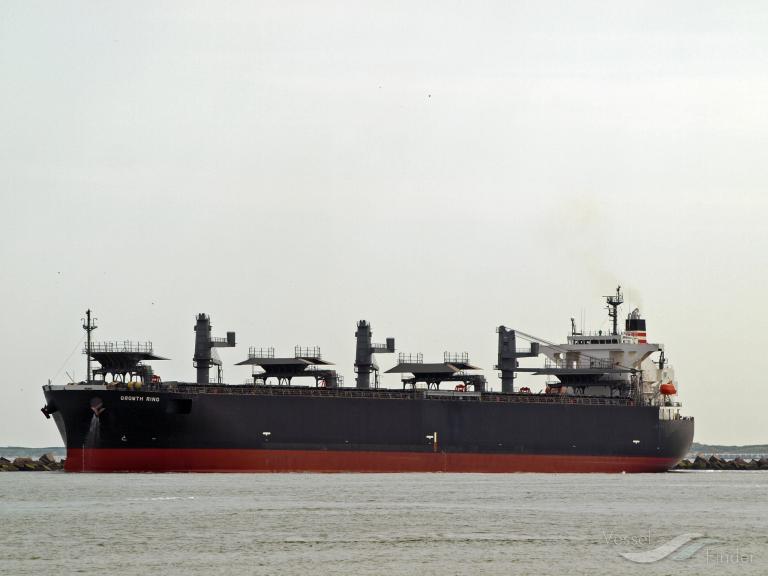 growth ring (Wood Chips Carrier) - IMO 9363687, MMSI 370997000, Call Sign 3FTL8 under the flag of Panama