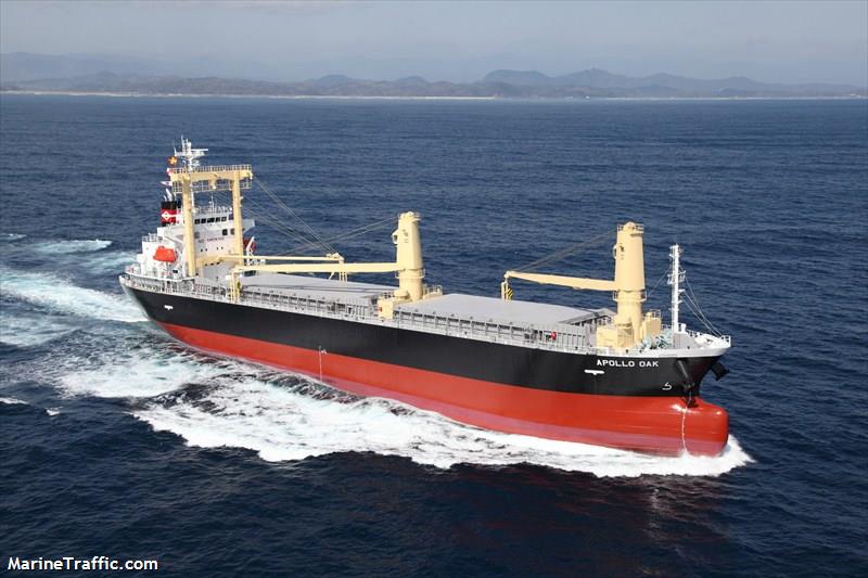 apollo oak (General Cargo Ship) - IMO 9614402, MMSI 371139000, Call Sign 3EYN9 under the flag of Panama