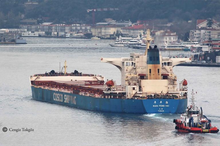 nian feng hai (Bulk Carrier) - IMO 9395202, MMSI 413543000, Call Sign BOCO under the flag of China