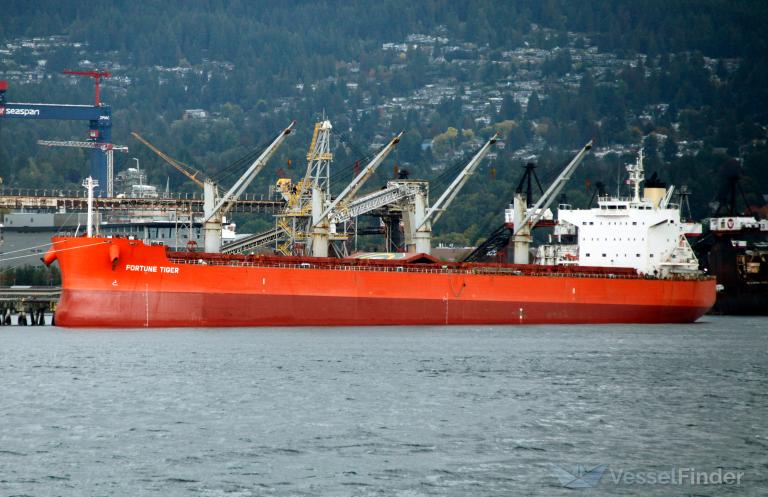 fortune tiger (Bulk Carrier) - IMO 9558282, MMSI 477220800, Call Sign VRMB8 under the flag of Hong Kong