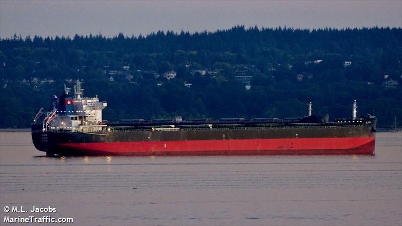 alcor (Bulk Carrier) - IMO 9717682, MMSI 538006099, Call Sign V7JS9 under the flag of Marshall Islands