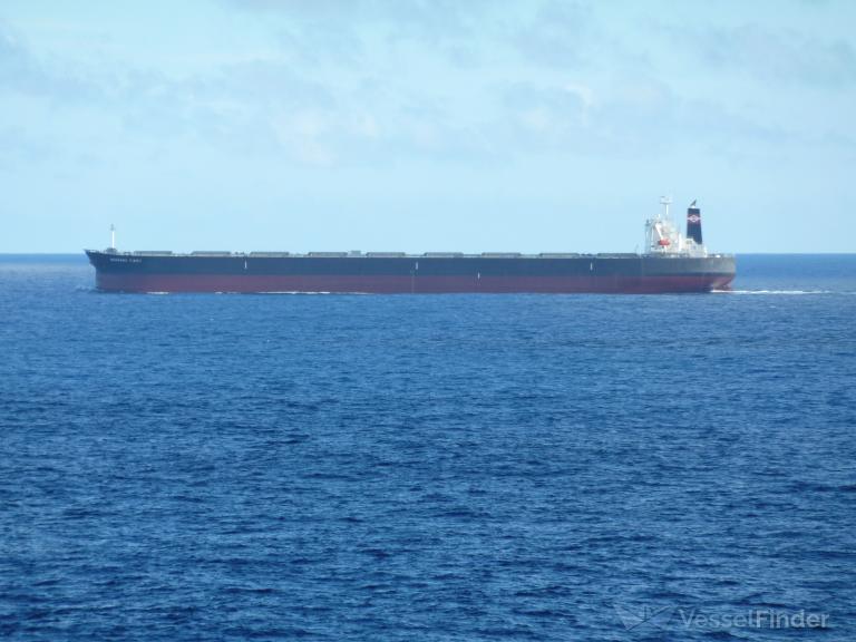 mount sinai (Bulk Carrier) - IMO 9311440, MMSI 636017235, Call Sign D5JX5 under the flag of Liberia