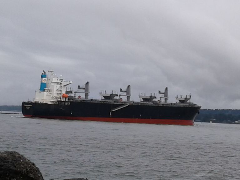 princess suiha (Wood Chips Carrier) - IMO 9810965, MMSI 636018152, Call Sign D5OK6 under the flag of Liberia