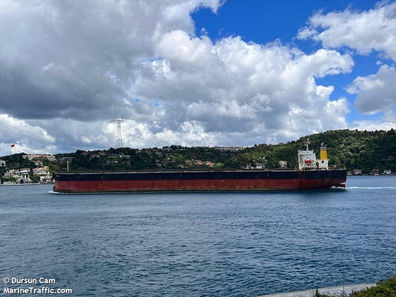 smyrna (Bulk Carrier) - IMO 9363003, MMSI 215787000, Call Sign 9HA5283 under the flag of Malta