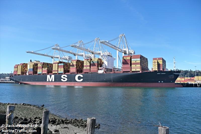 msc virgo (Container Ship) - IMO 9857171, MMSI 255806340, Call Sign CQEB9 under the flag of Madeira